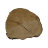 Plaster Akacji 34x31x3,5cm