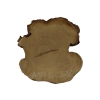 Plaster Akacji 27x26x3,5cm