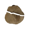 Plaster Akacji 35x31x3,5cm