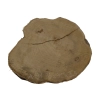 Plaster Akacji 35x30x3,5cm