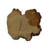 Plaster Akacji 28x26x5cm