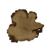 Plaster Akacji 33x31x3,5cm