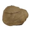 Plaster Akacji 35x29x3,5cm