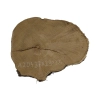 Plaster Akacji 37x29x3,5cm