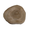 Plaster Orzecha Włoskiego 36x31x3cm