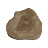 Plaster Orzecha Włoskiego 40x36x3cm