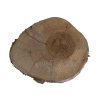 Plaster Orzecha Włoskiego 30x26x3cm