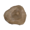 Plaster Orzecha Włoskiego 39x34x3cm