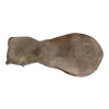 Plaster Orzecha Włoskiego 61x27x3cm
