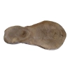 Plaster Orzecha Włoskiego 60x28x3cm