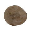 Plaster Orzecha Włoskiego 35x32x3cm
