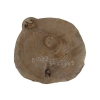 Plaster Orzecha Włoskiego 34x33x3cm