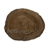 Plaster Orzecha Włoskiego 31x26x3,5cm