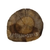 Plaster Orzecha Włoskiego 30x29x3,5cm