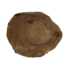 Plaster Orzecha Włoskiego 38x33x5cm