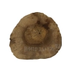 Plaster Orzecha Włoskiego 26x27x3,5cm