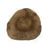 Plaster Orzecha Włoskiego 27x27x3,5cm