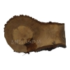 Plaster Orzecha Włoskiego 43x25x3,5cm