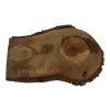 Plaster Orzecha Włoskiego 46x23x3cm
