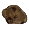 Plaster Orzecha Włoskiego 44x33x3cm