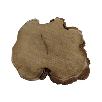 Plaster Akacji 30x25x3cm