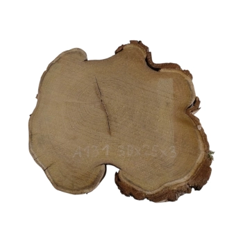 Plaster Akacji 30x25x3cm
