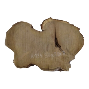 Plaster Akacji 38x26x3cm