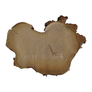 Plaster Akacji 35x26x3cm