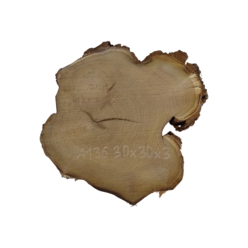 Plaster Akacji 30x30x3cm