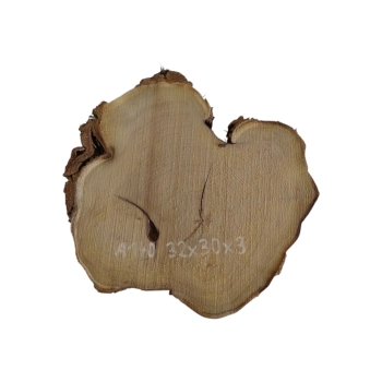 Plaster Akacji 32x30x3cm