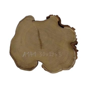 Plaster Akacji 30x27x3cm
