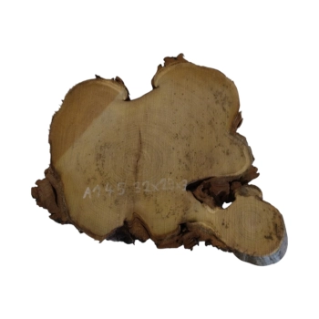 Plaster Akacji 32x29x3cm