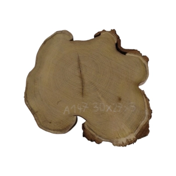 Plaster Akacji 30x27x3cm