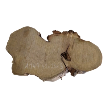 Plaster Akacji 45x23x3cm