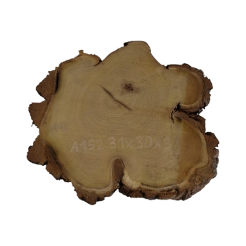 Plaster Akacji 31x30x3cm