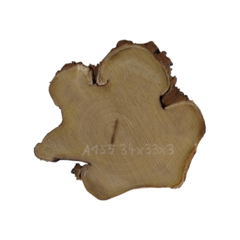 Plaster Akacji 34x33x3cm