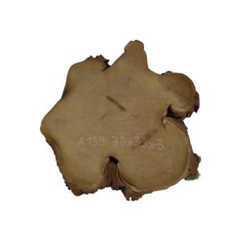 Plaster Akacji 30x33x3cm