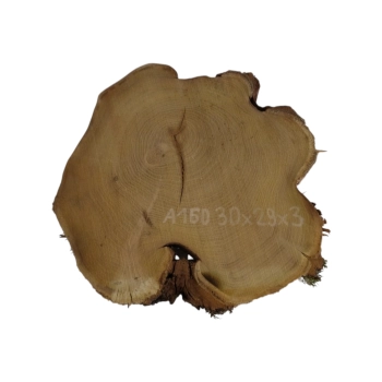 Plaster Akacji 30x29x3cm