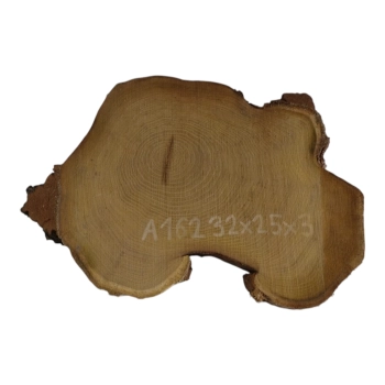 Plaster Akacji 32x25x3cm