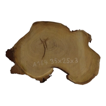 Plaster Akacji 35x25x3cm