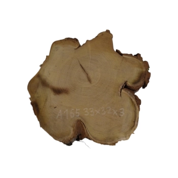 Plaster Akacji 33x32x3cm