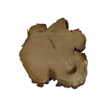 Plaster Akacji 30x32x3cm