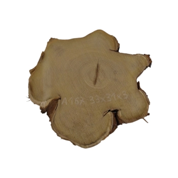 Plaster Akacji 33x31x3cm