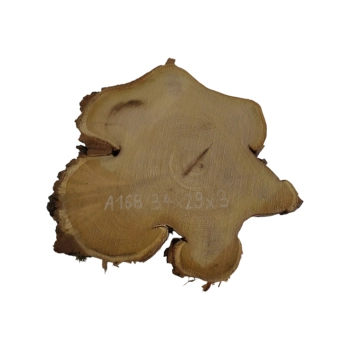 Plaster Akacji 34x29x3cm
