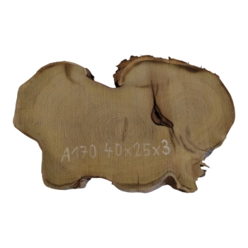 Plaster Akacji 40x25x3cm