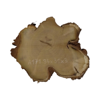 Plaster Akacji 34x31x3cm