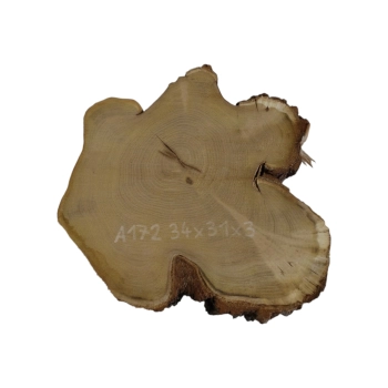 Plaster Akacji 34x31x3cm