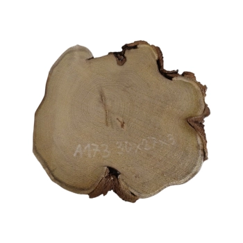 Plaster Akacji 30x27x3cm