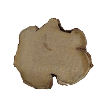 Plaster Akacji 31x30x3cm