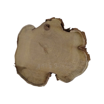 Plaster Akacji 30x28x3cm